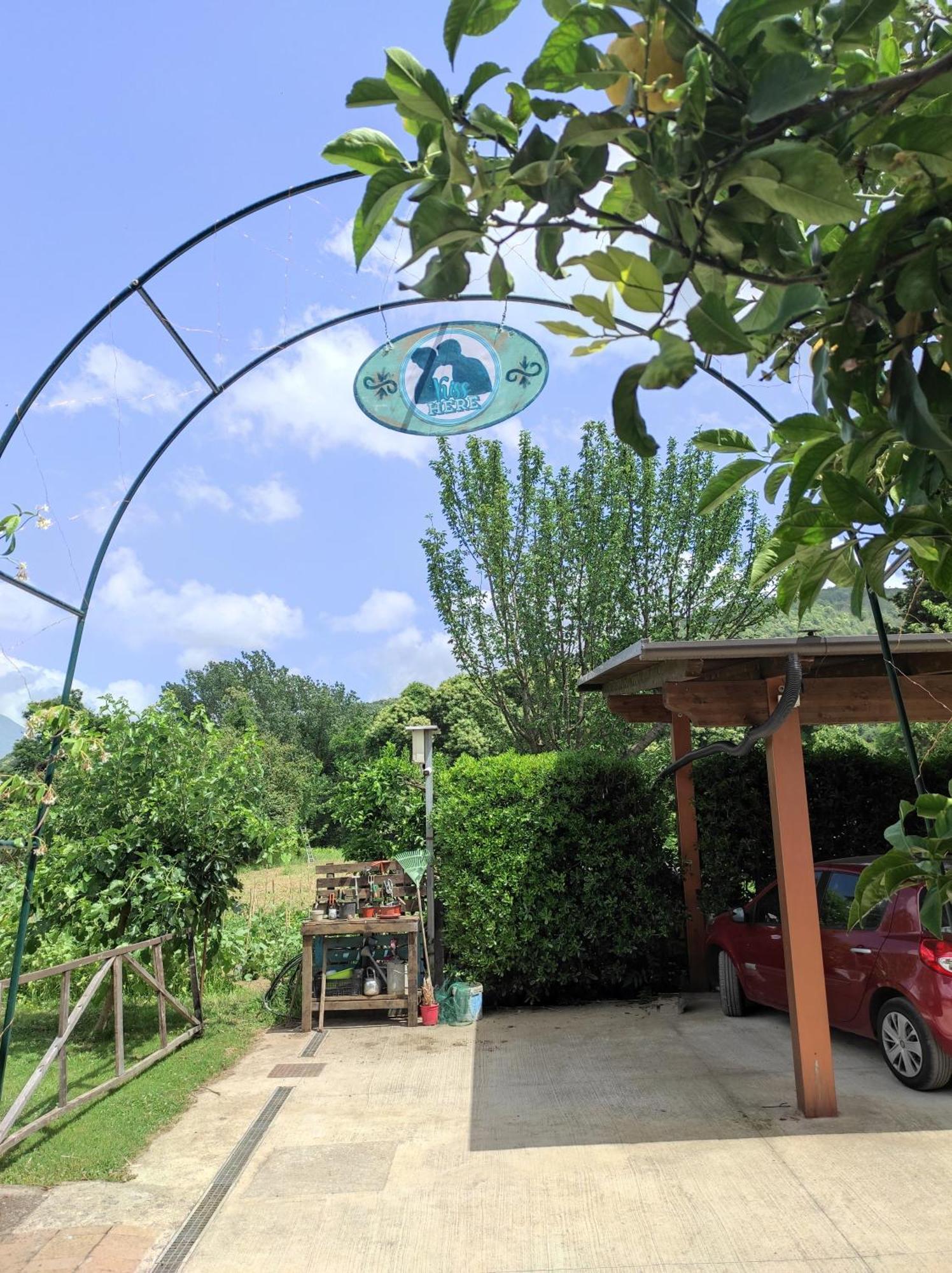 Caledonia B&B Mercato San Severino Exterior photo